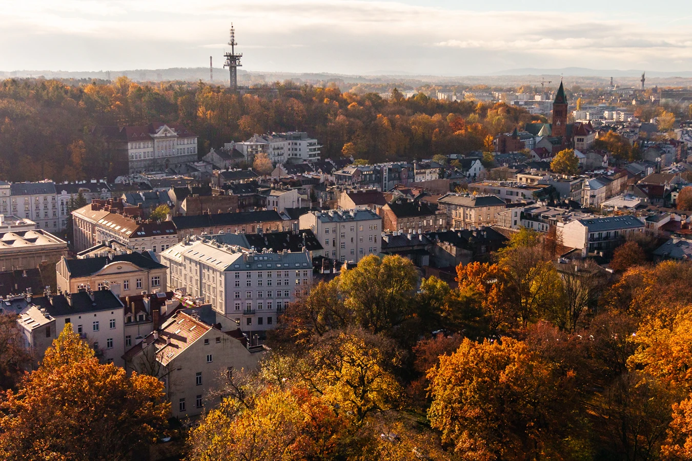 Timeless investment asset